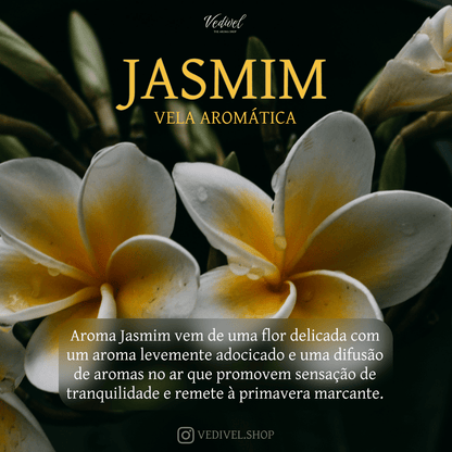 Vela Classic - Jasmim